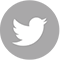 twitter icon