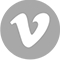vimeo icon